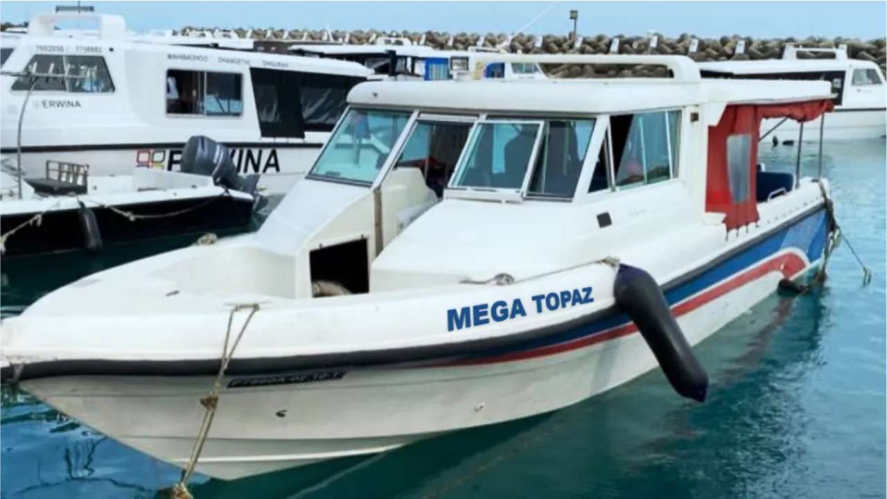M Topaz-img