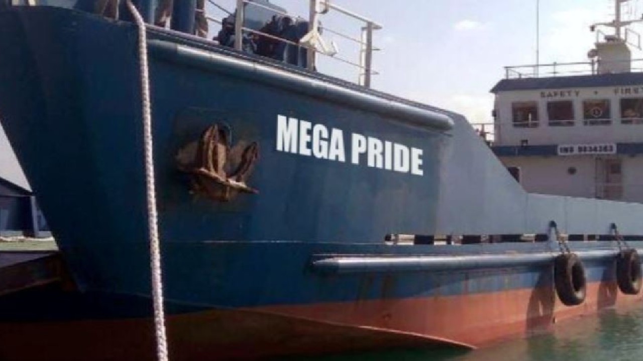 Mega star imgs2